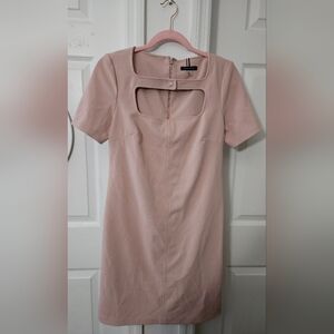 Tommy Hilfiger Blush Mini Dress